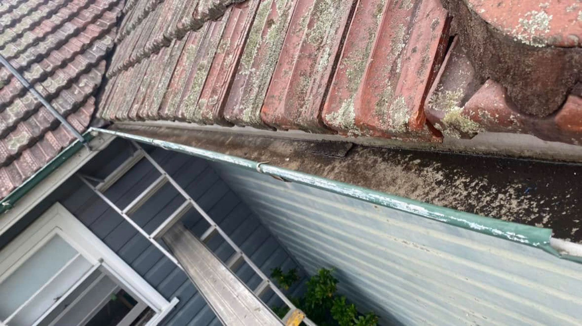 Dirty Roof Gutter With Red Tiles and Gray Siding. Debris and Moss Visible — Your Craftsmen in Eleebana, NSW