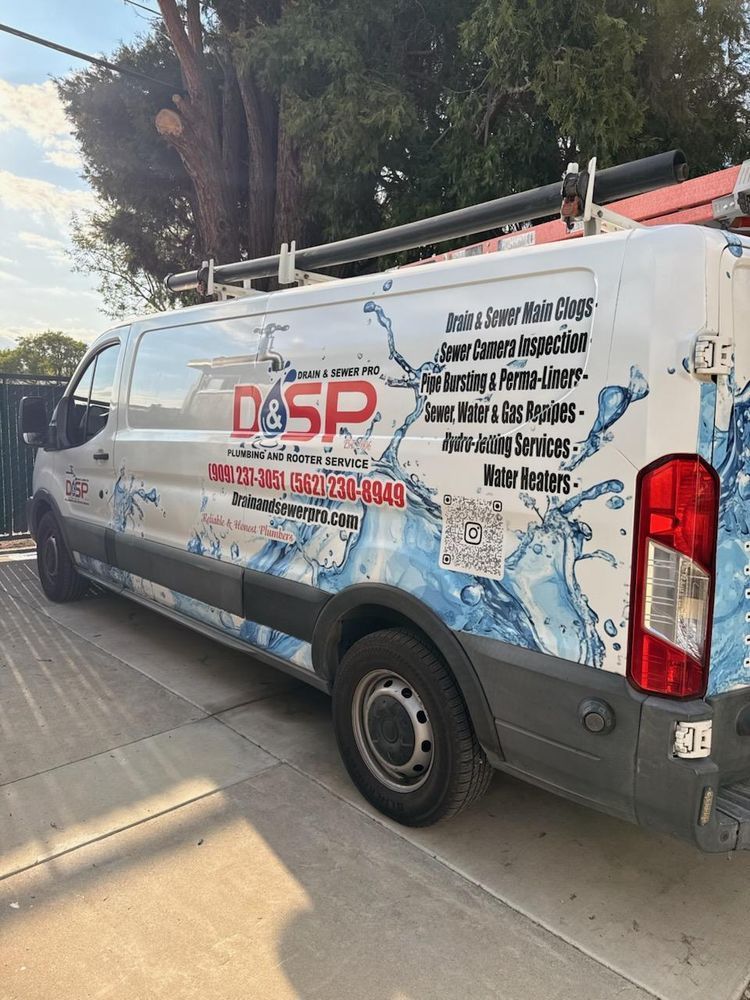 White DSP service van with blue graphics parked by a sidewalk under trees.