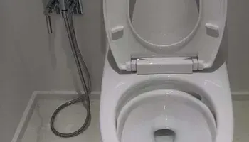Open toilet in a small bathroom beside a shower hose and wall-mounted controls