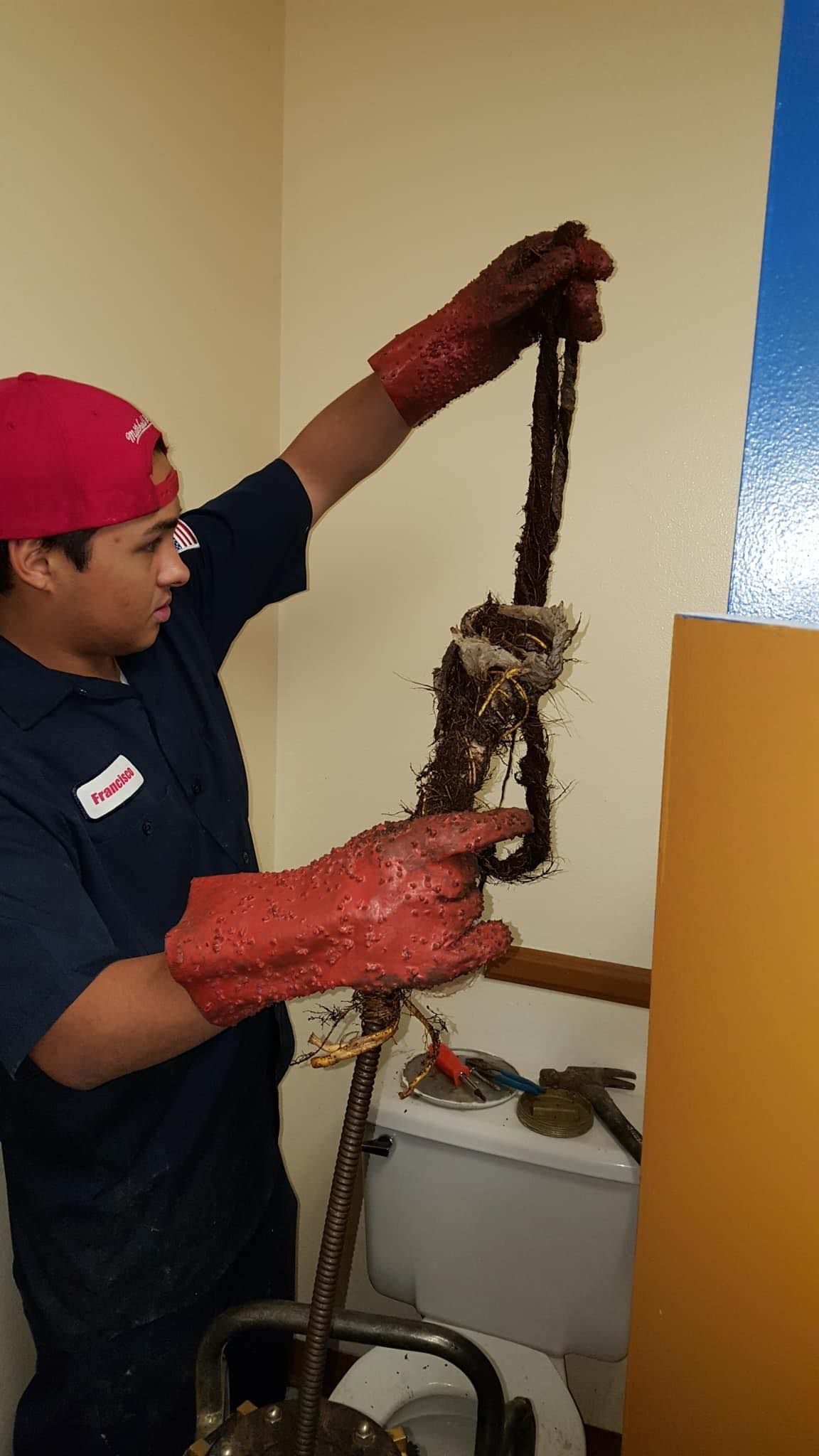 Worker in red gloves and cap holding a long, dark snake in a corner indoors