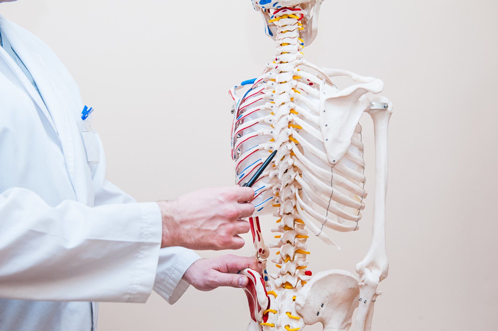 Should I Go to a Chiropractor After a Car Accident in St. Pete, FL