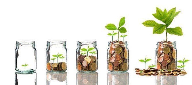 Should I Go to a Chiropractor After a Car Accident in St. Pete, FL