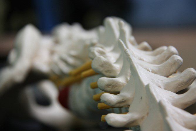 Chiropractic Proves More Effective Than Medical Care For Spinal, Hip and Shoulder Pain