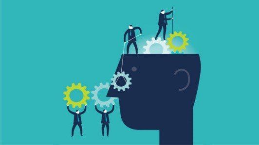 Should I Go to a Chiropractor After a Car Accident in St. Pete, FL