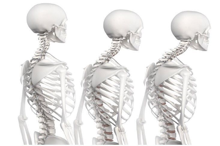 human spine neck