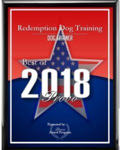 Dog Training Services Utah County