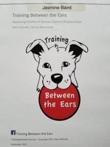 Dog Training Services Utah County