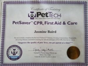 Dog Training Services Utah County