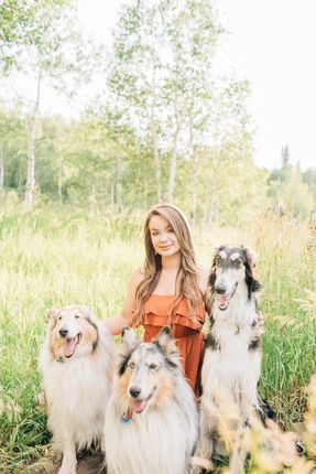 Dog Training Services Utah County