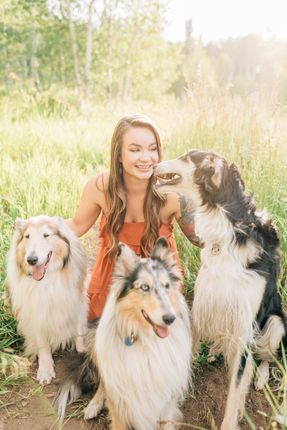 Dog Training Services Utah County