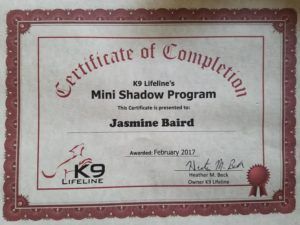 Dog Training Services Utah County