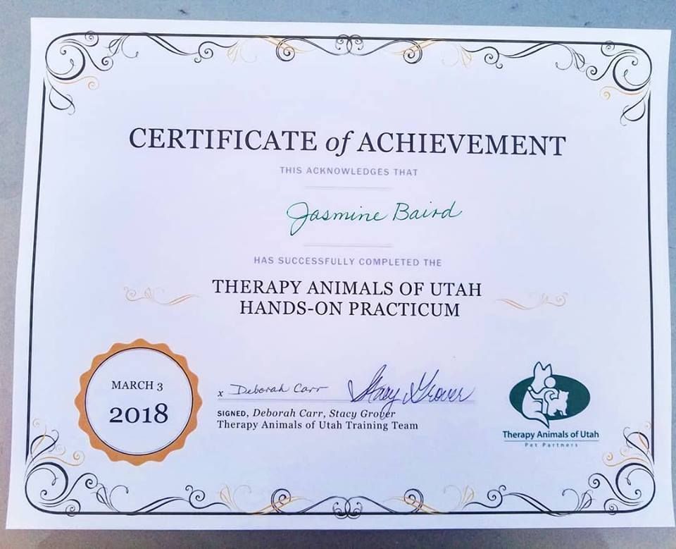 Dog Training Services Utah County