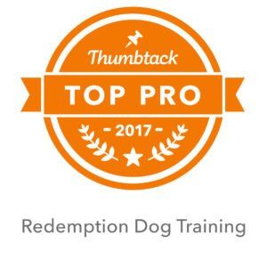 Dog Training Services Utah County