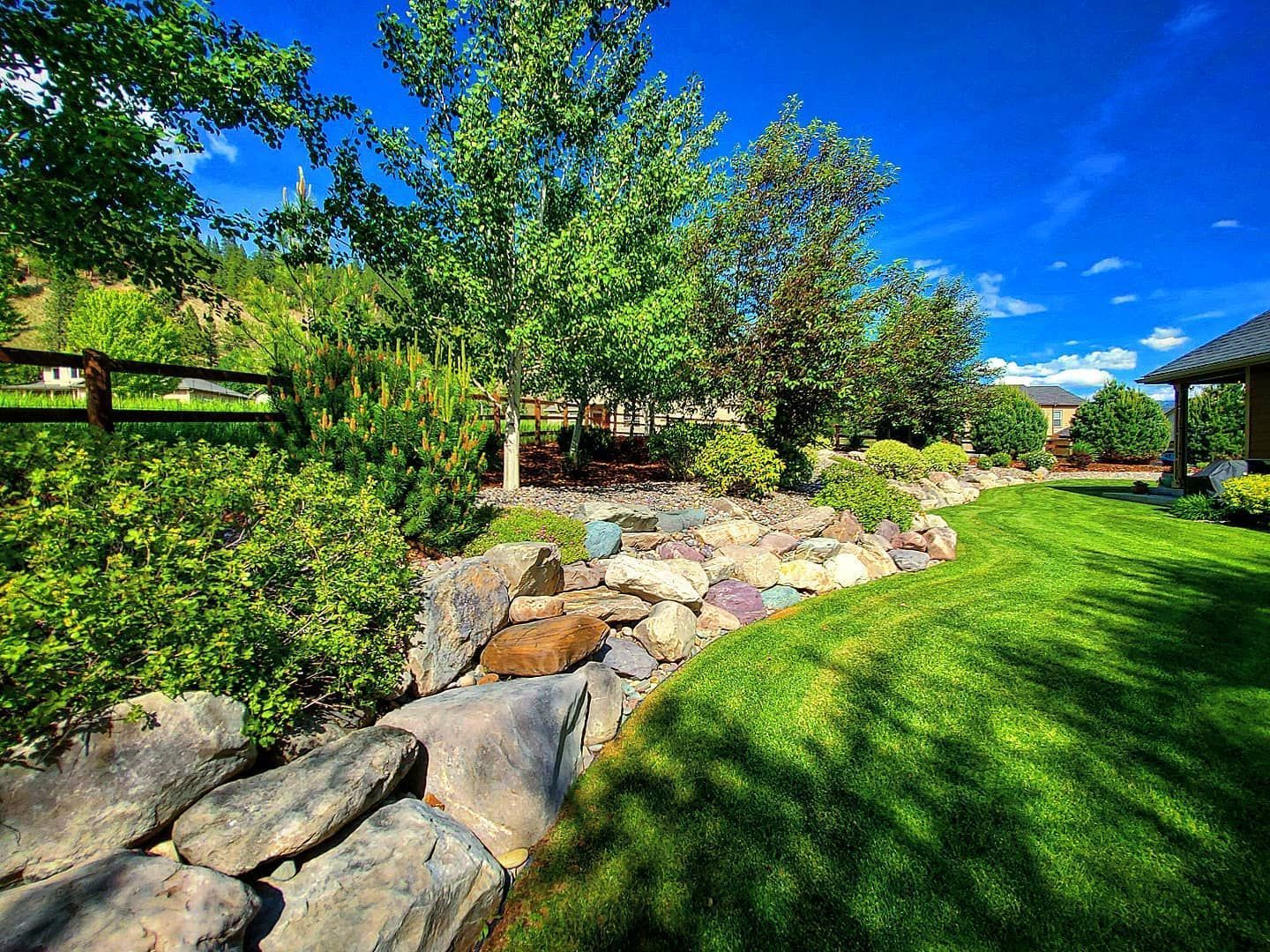 A lush green backyard with a stone garden bed and grass, under a bright blue sky.
