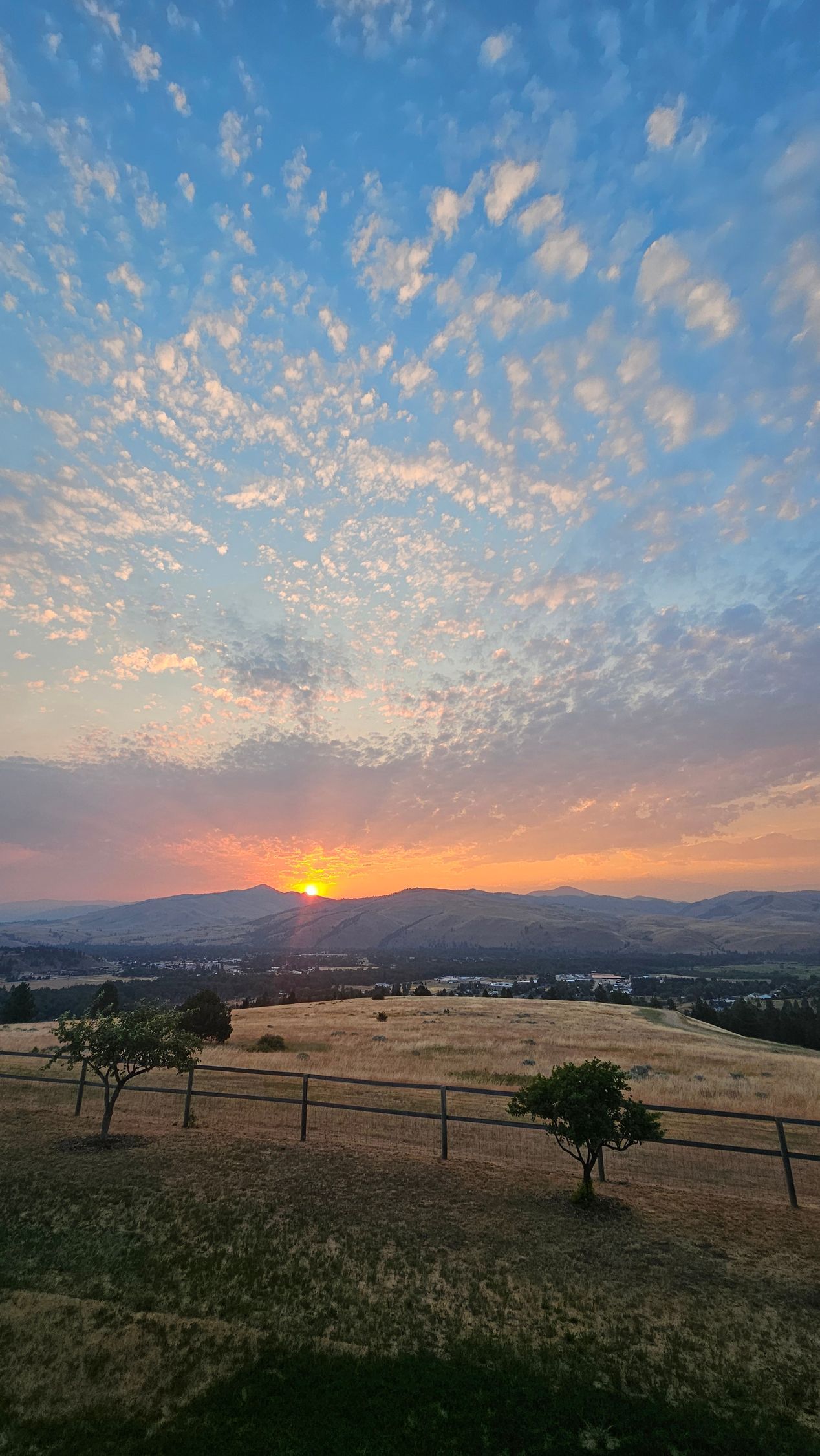 A colorful garden bed with flowers, mulch, and rocks in front of a red and white building.