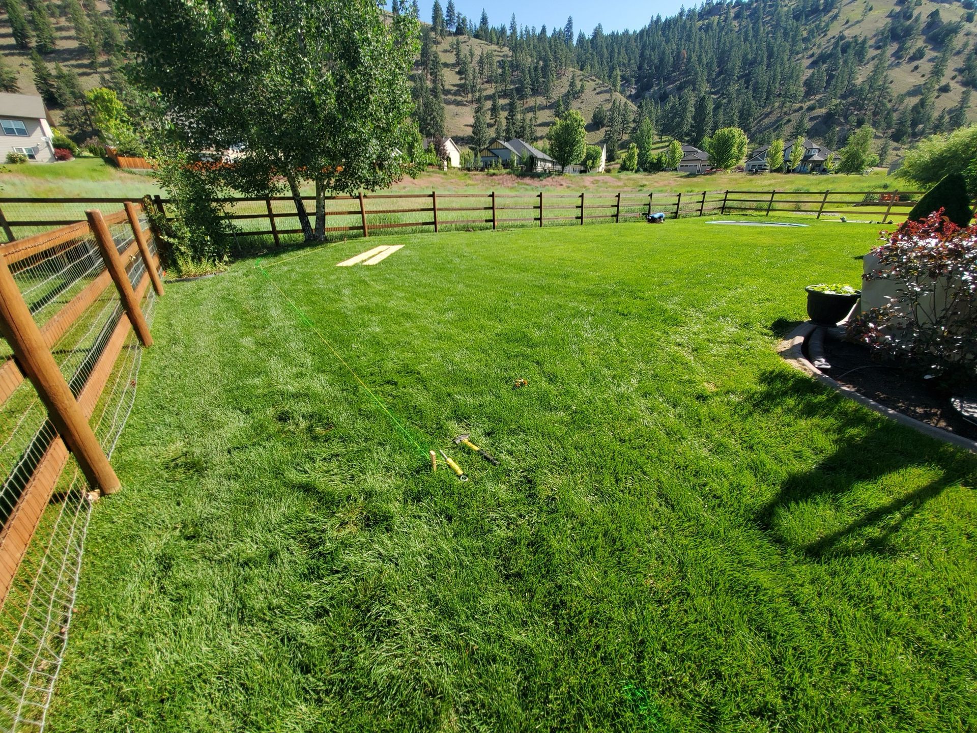 Lush green lawn enclosed by a wooden fence, with trees, a house, and hills in the sunny background.