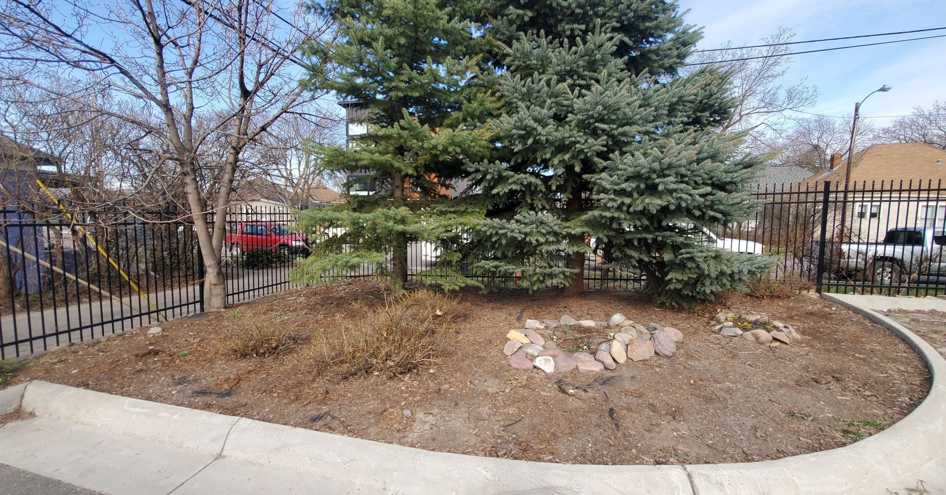 Curved bed with fir trees and small rocks, fenced, next to sidewalk.