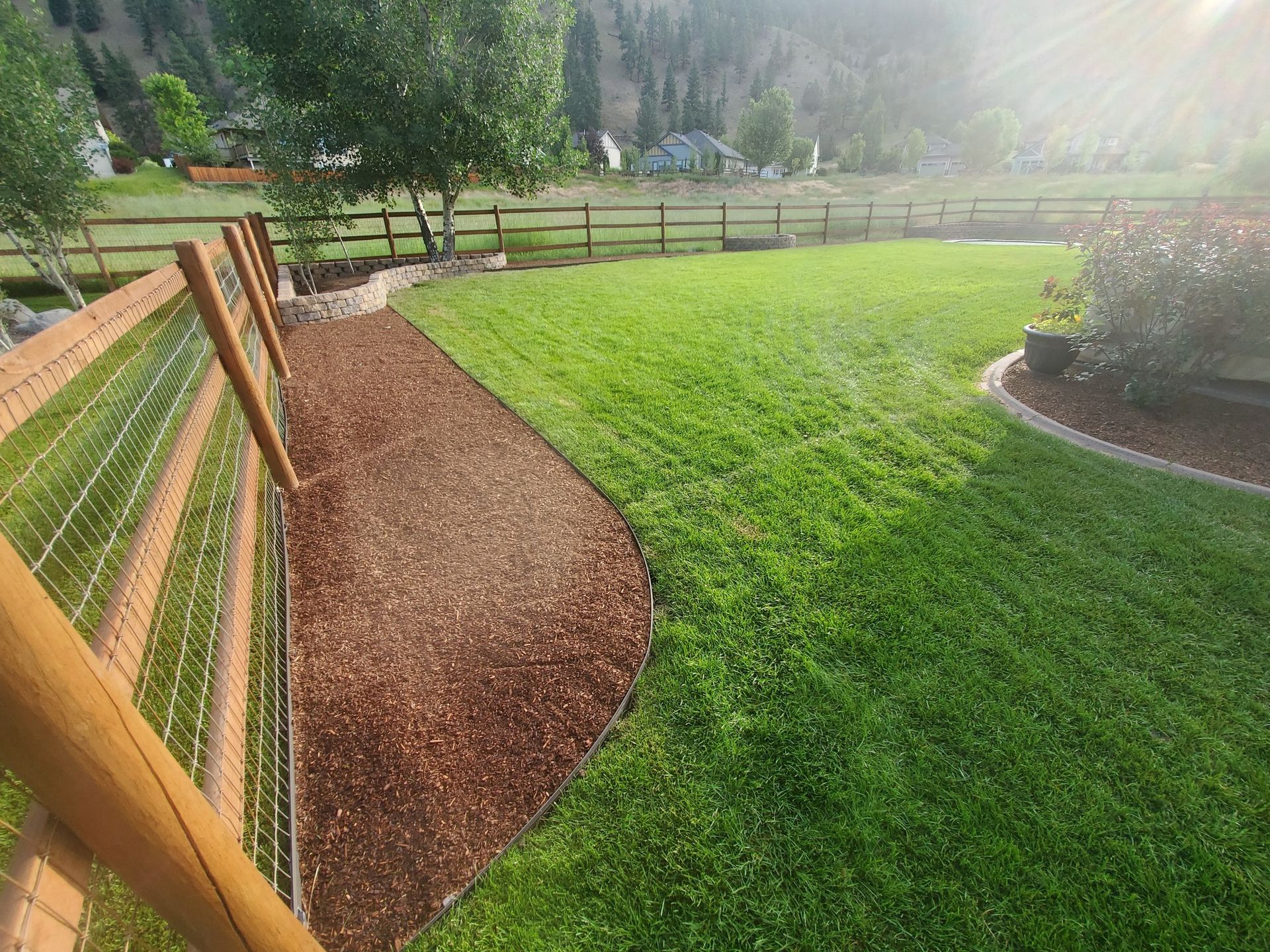 Lush green lawn bordered by wood chip mulch and a wooden fence in a sunny yard.
