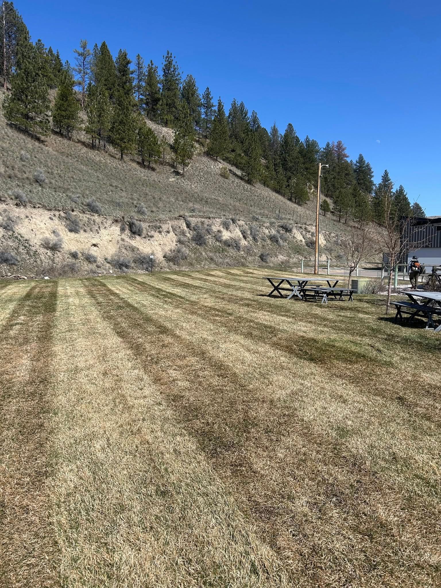 Grassy field with tire tracks, hill with sparse trees in the background, clear blue sky.