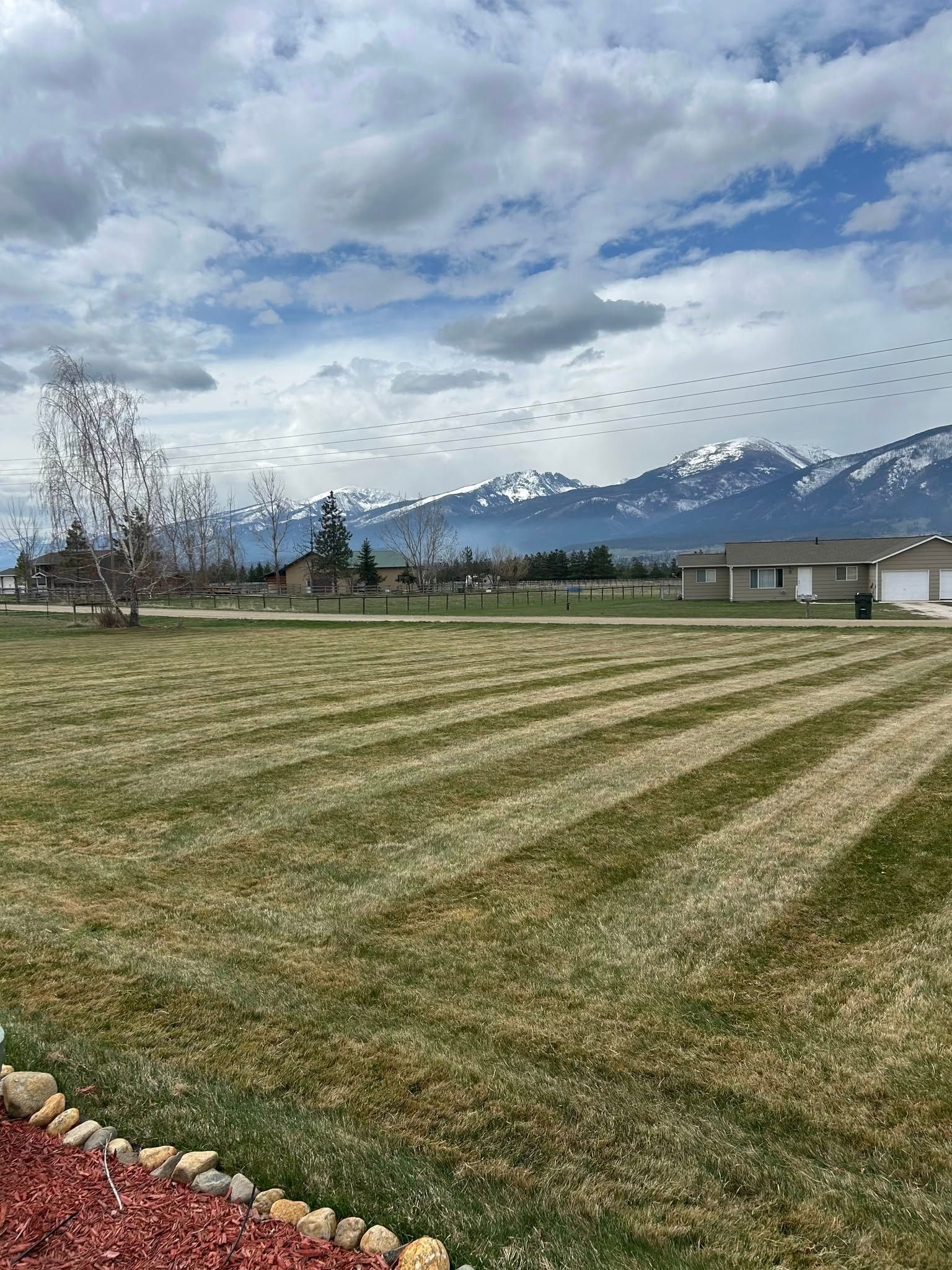 Lawn with freshly cut stripes, trees, houses, mountains, flock of birds overhead under a cloudy sky.