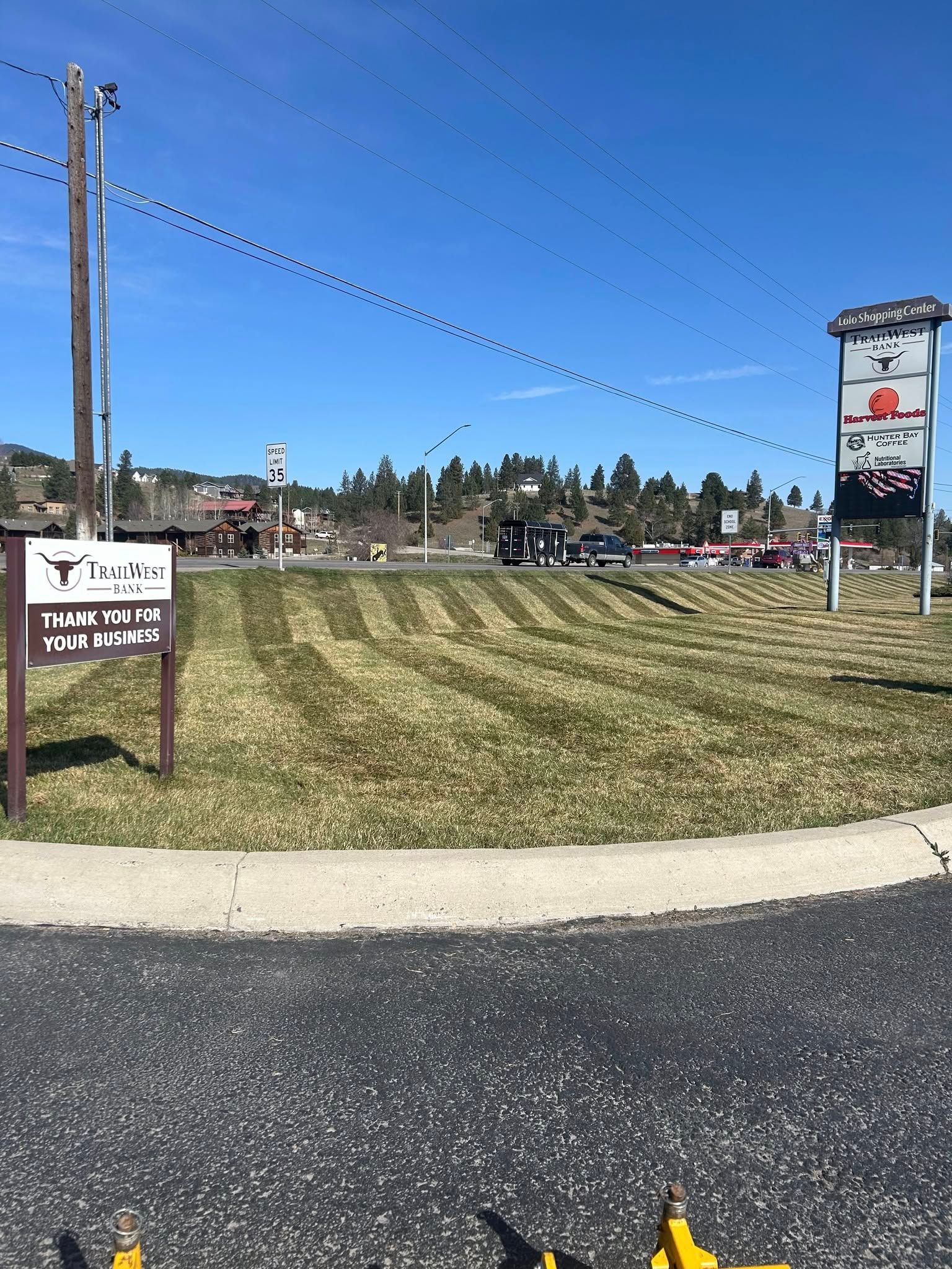 Grassy field with mown stripes, signs, telephone pole, road, buildings, blue sky.