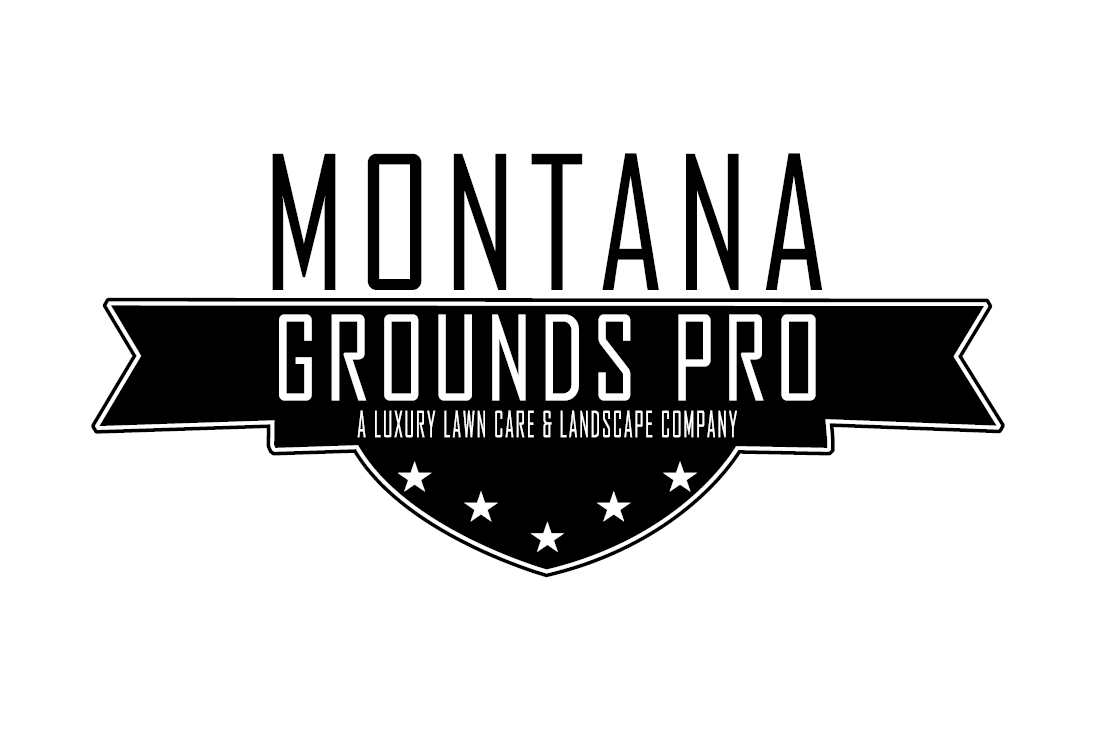 White truck with snow plow on a snowy road with mountains in the background. Overcast sky.