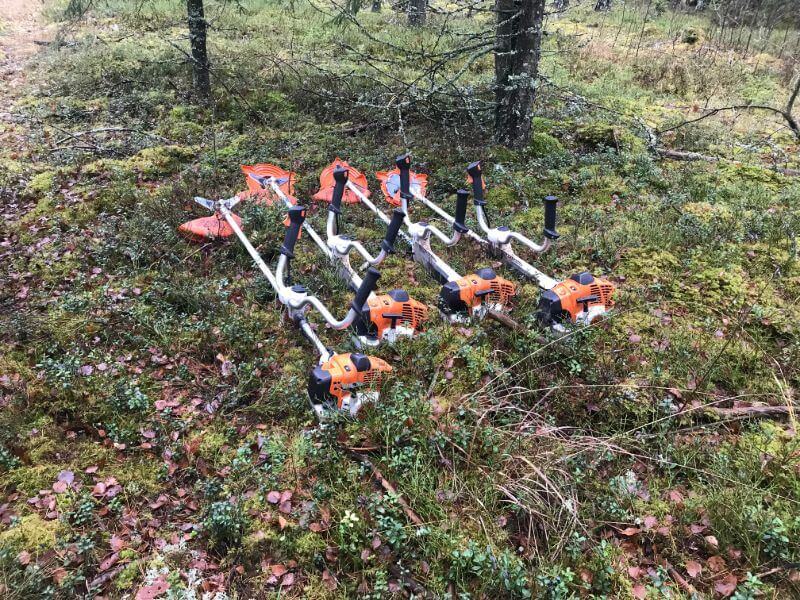 krājas kopšana un zāģēšana