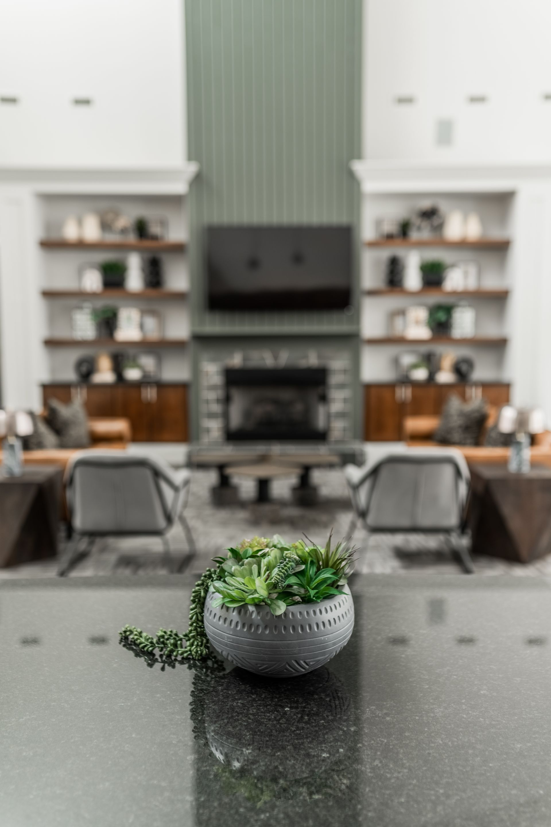 Succulents in a decorative pot on a glossy surface, with a blurred view of a resident area: fireplace, seating, shelves at Willows at Fort Mill, offers 1,2, and 3 bedroom apartments in Fort Mill, SC.