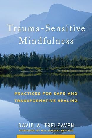 Trauma - sensitive mindfulness : practices for safe and transformative healing by david a. treleaven