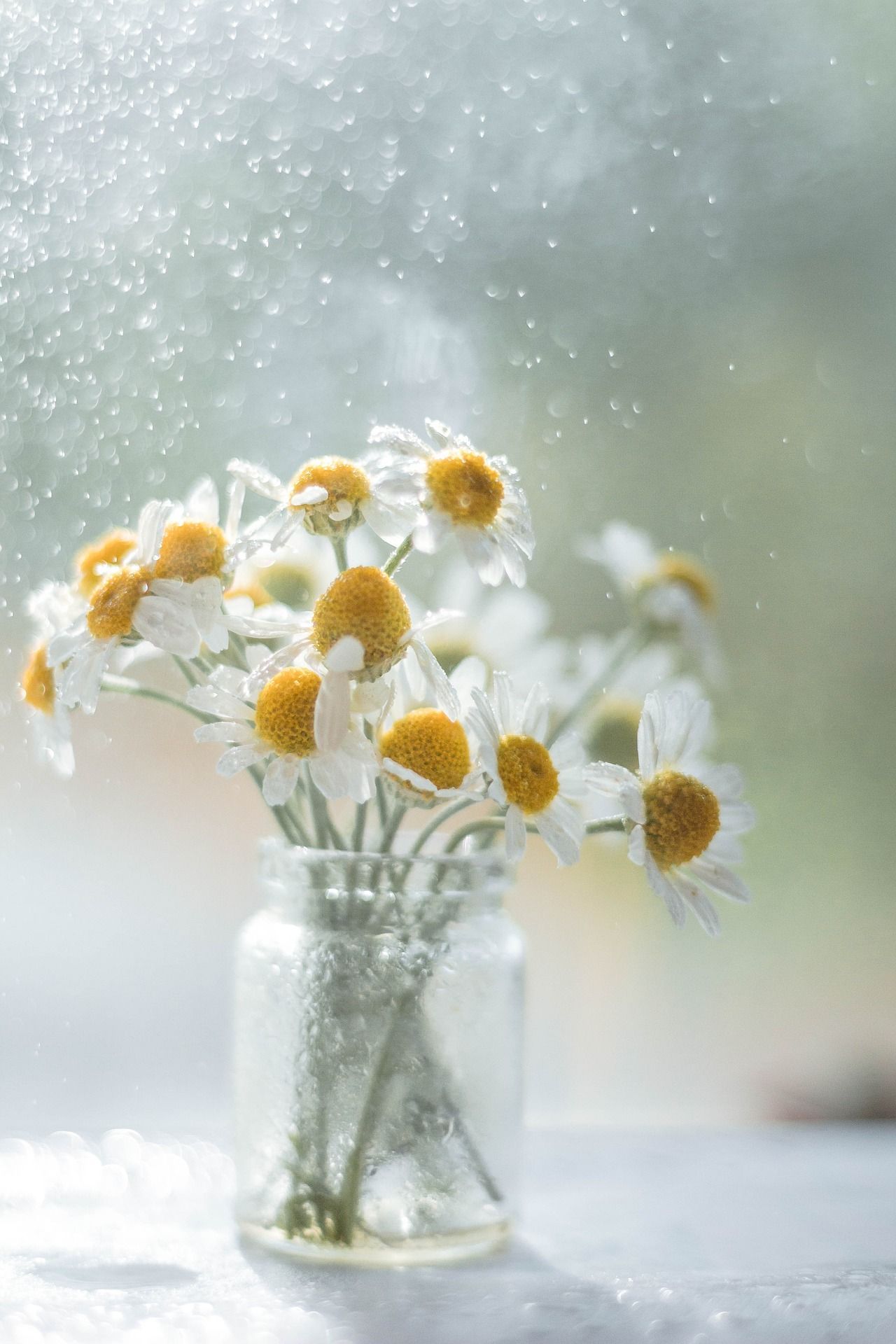 A vase filled with daisies is sitting on a table in front of a window.