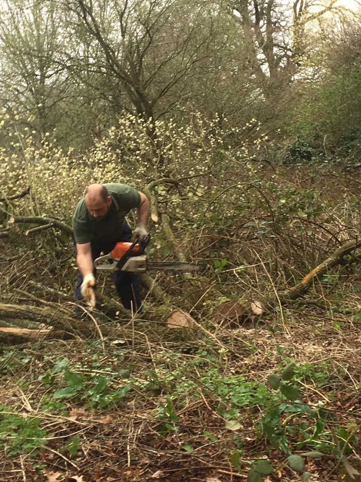 Garden Clearance Basingstoke