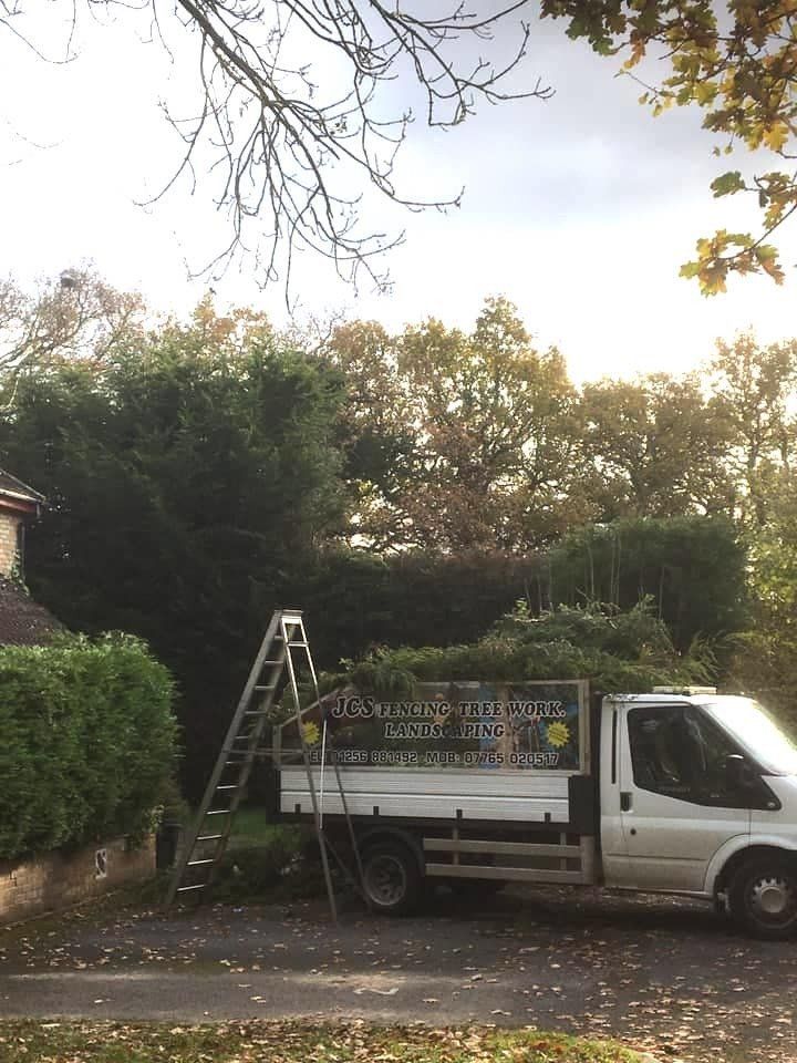 Tree surgeons Basingstoke