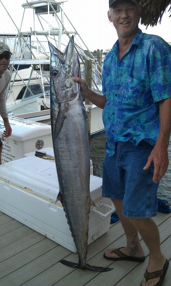 A person stands on a dock holding a large wahoo fish with its mouth open, near a boat on a sunny day.