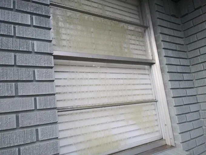 Exterior of a building with a grimy window featuring horizontal slats, adjacent to gray brick walls.
