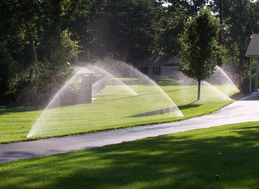 Sprinklers spraying water on a green lawn beside a driveway. Trees and a house are in the background.
