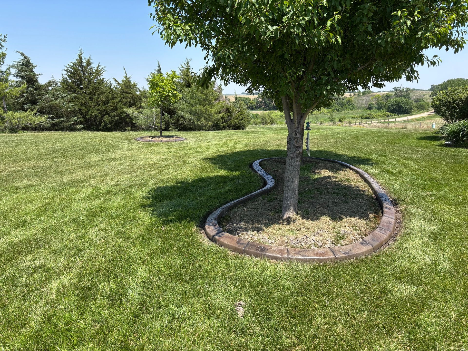 Lush green lawn with a tree surrounded by a stone border; bright sunlight.