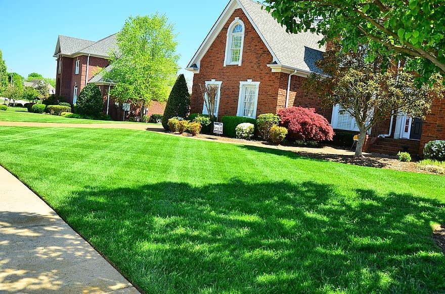 Lush green lawn in front of a brick house with trees casting shadows on a sunny day.