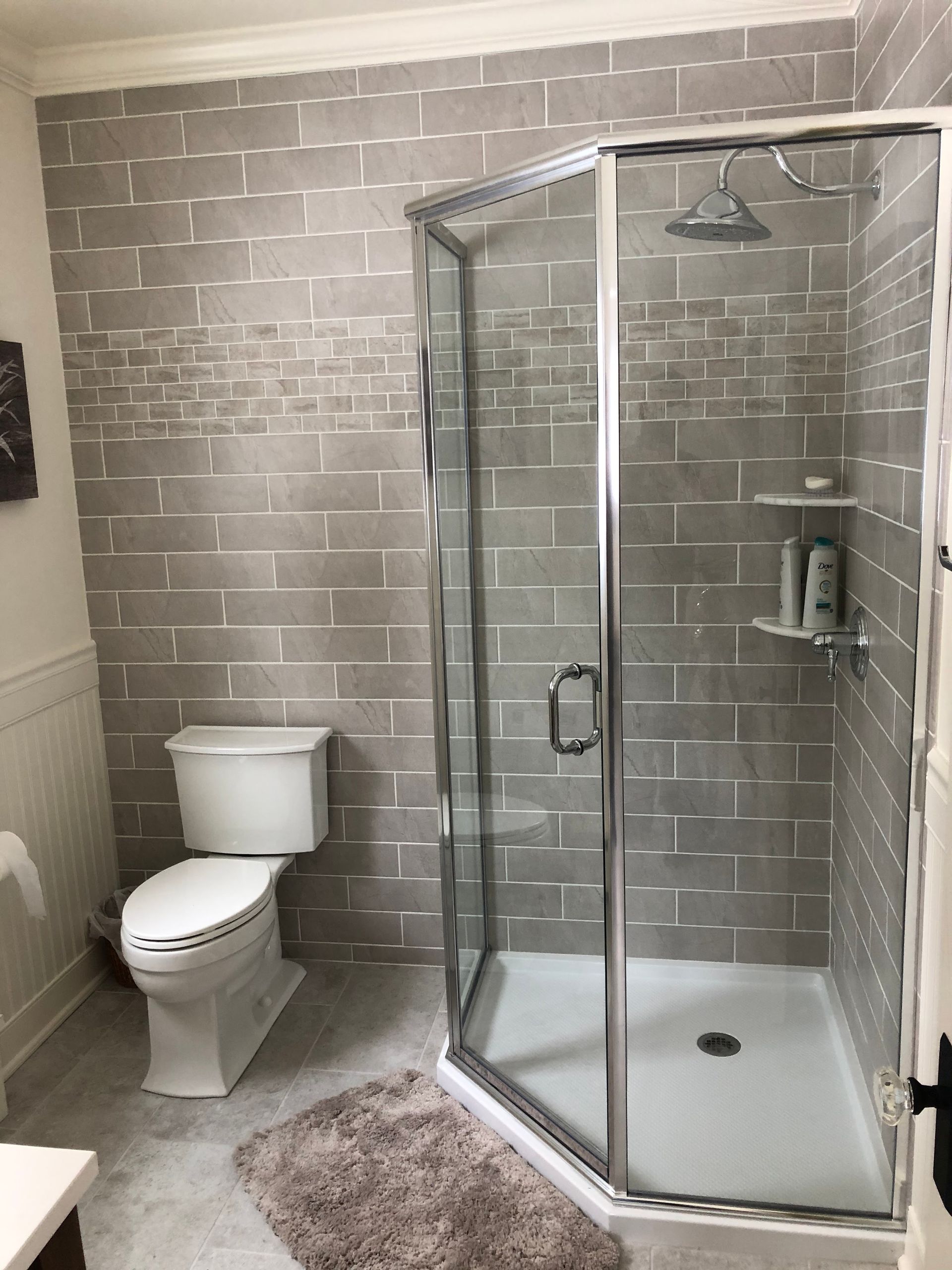 A bathroom with a toilet and a walk in shower