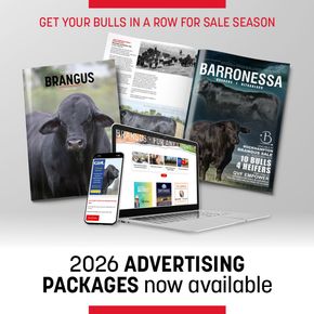 2025 Advertising Packages