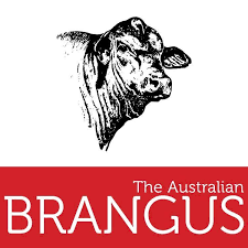 The Australian Brangus - Tender Positions Now Open