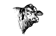 Australian Brangus Cattle Association