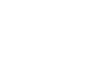 Dyer Management logo