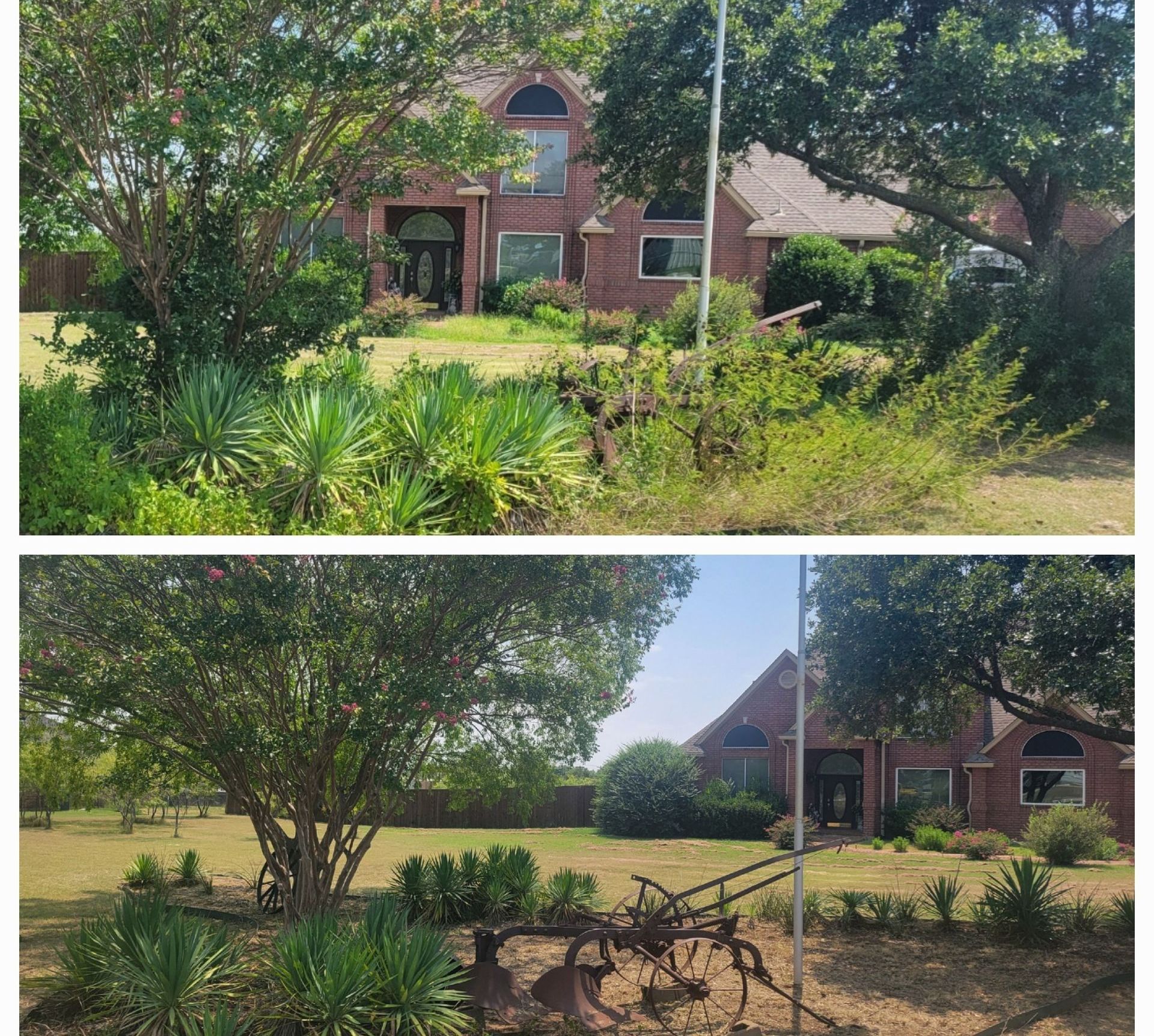 Tree Trimming in Weatherford, TX