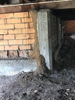 Termites in subfloor of house