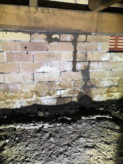 termites damage house