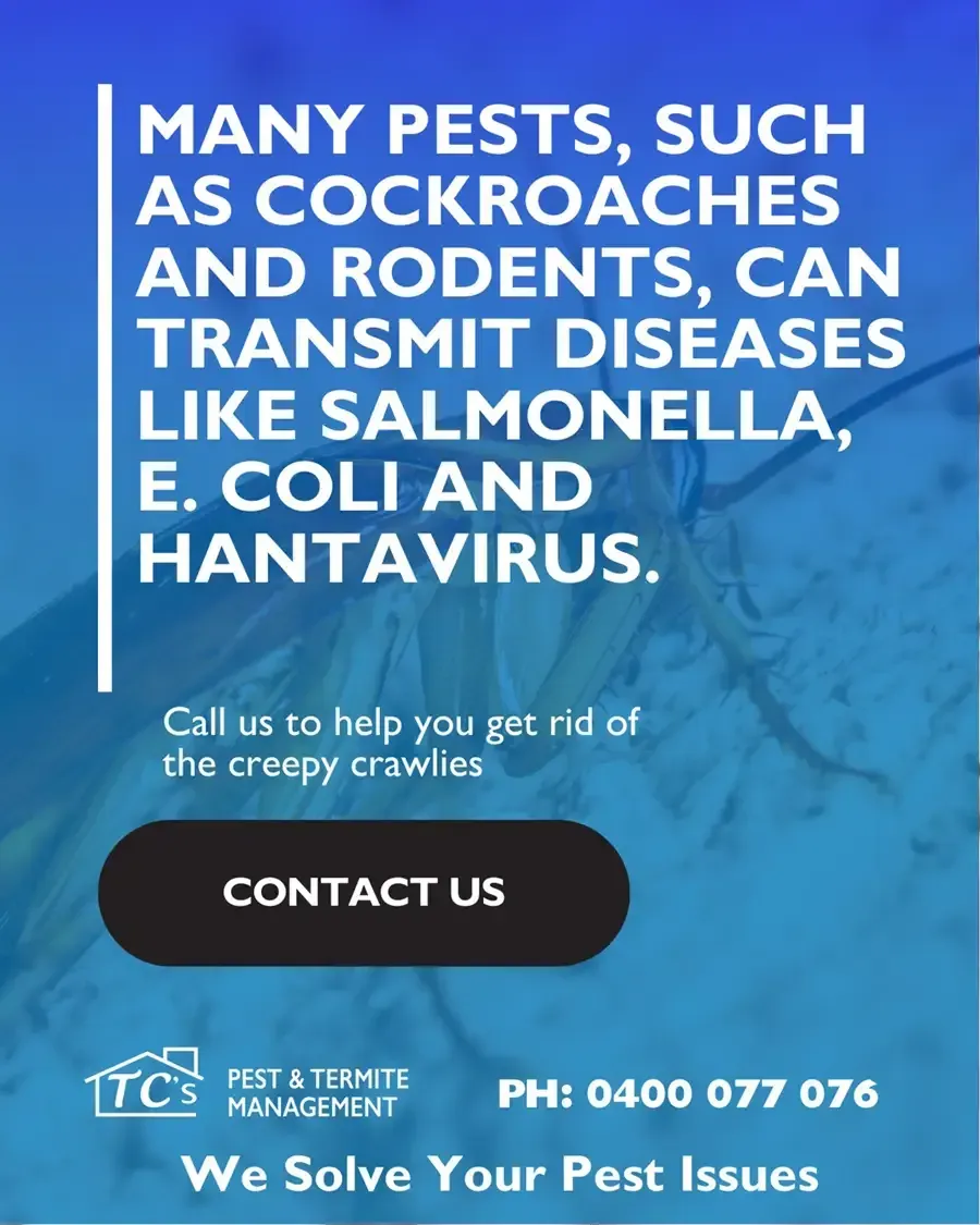 Cockroaches can trransmit diseases like salmonella, e.coli and hantavirus.
