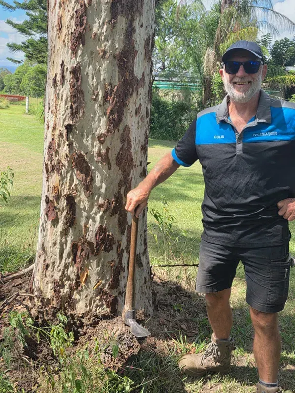 Treated termite nest jobs, where dead termites were found throughout the nest after treatment