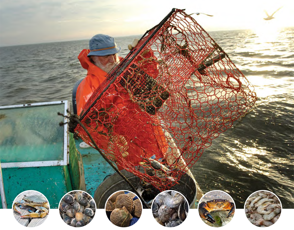 A man is holding a crab pot on a boat in the ocean.