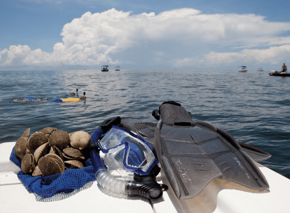 A boat with a mask , flippers and a bag of shells on the deck.