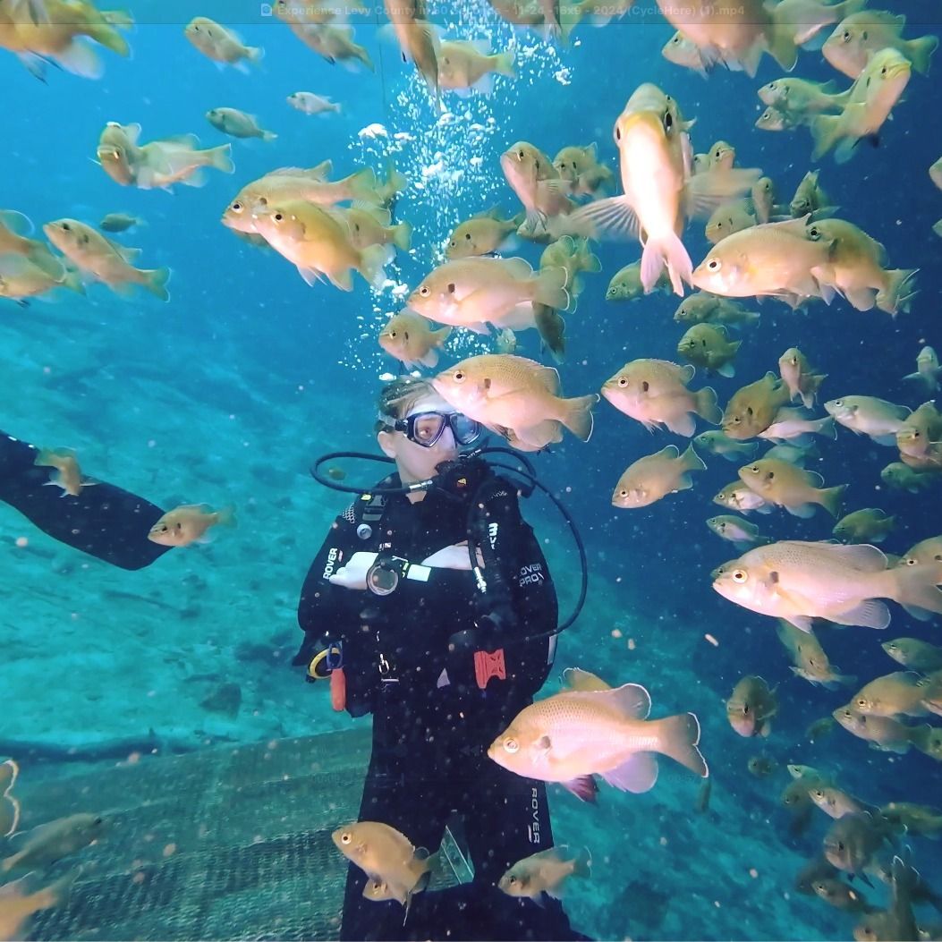 A scuba diver is surrounded by a large school of fish
